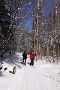 two skiers on snowy trail in forest