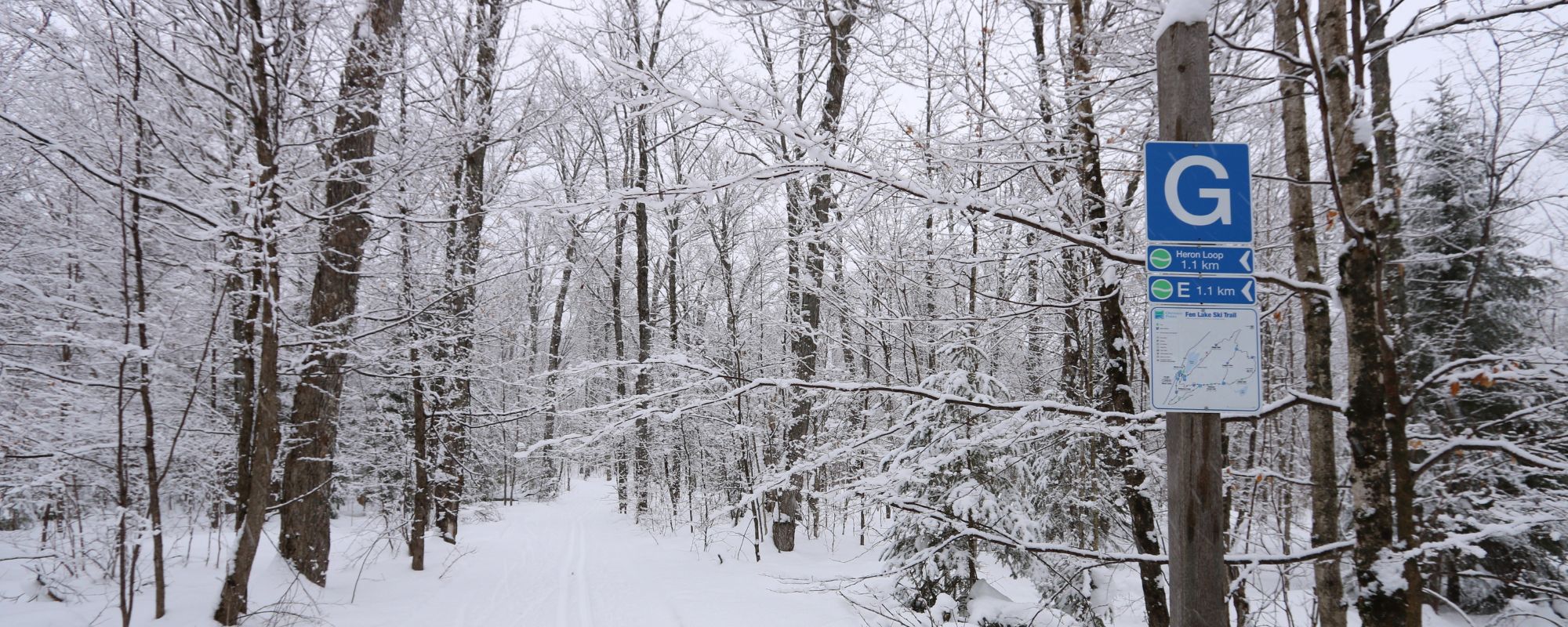 trackset ski trail in snowy forest