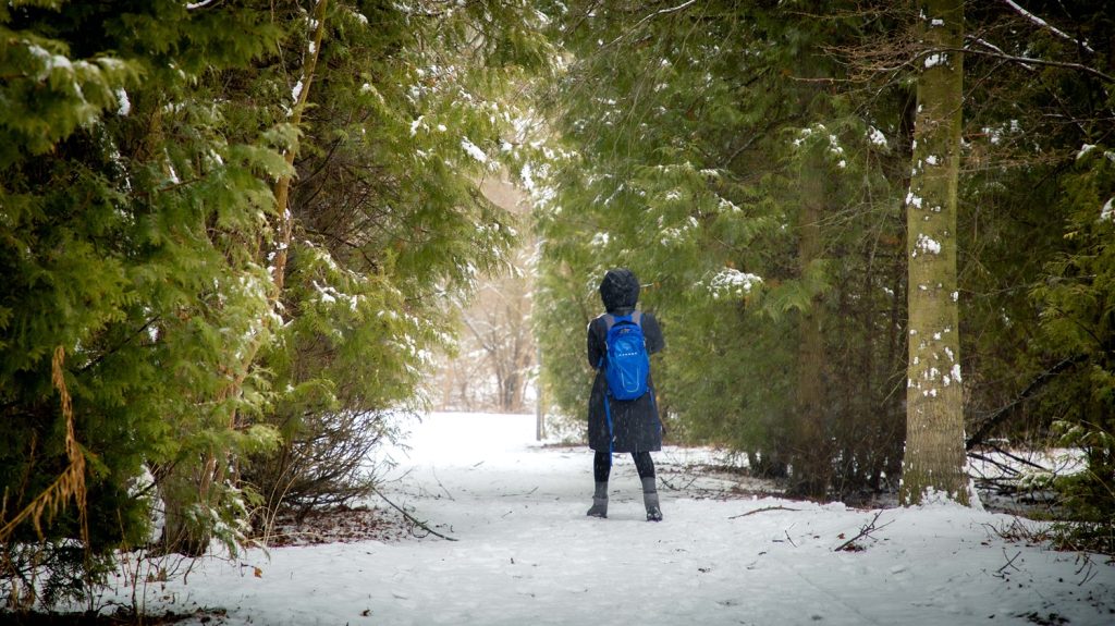 hiker on snowy trail through evergreens