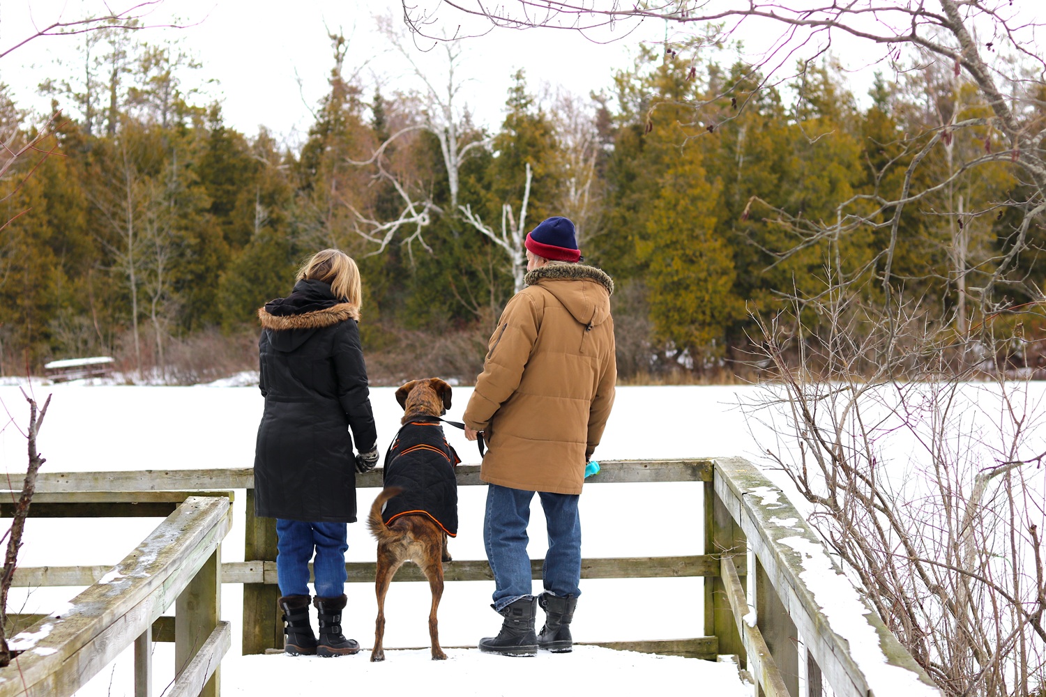 two hikers with dog on winter boardwalk looking over pond