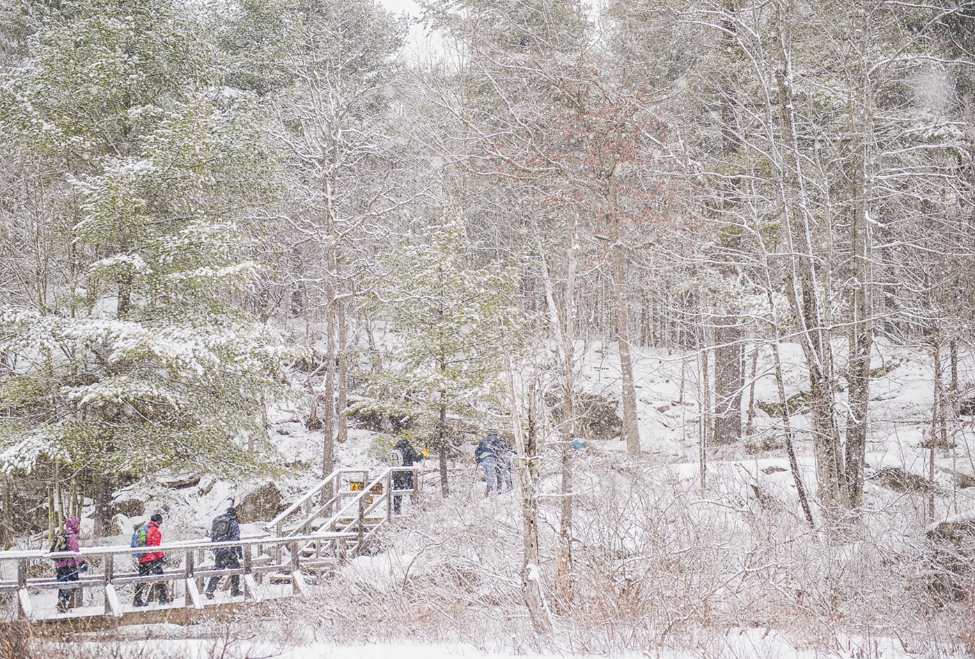hikers walking on boardwalk through forest in snowstorm