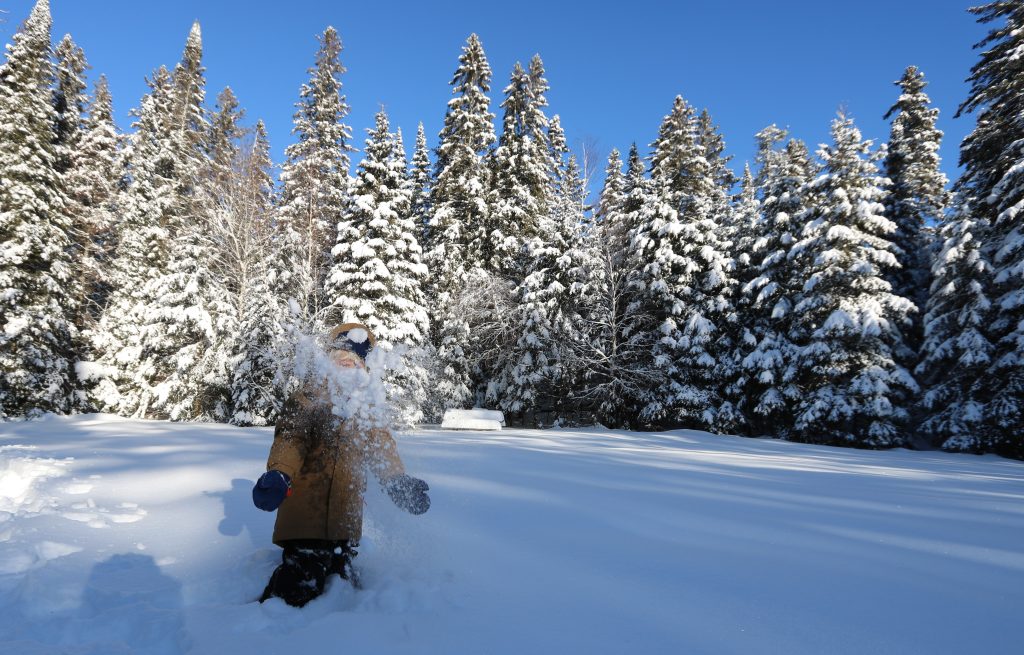 child throwing snow in air in forest