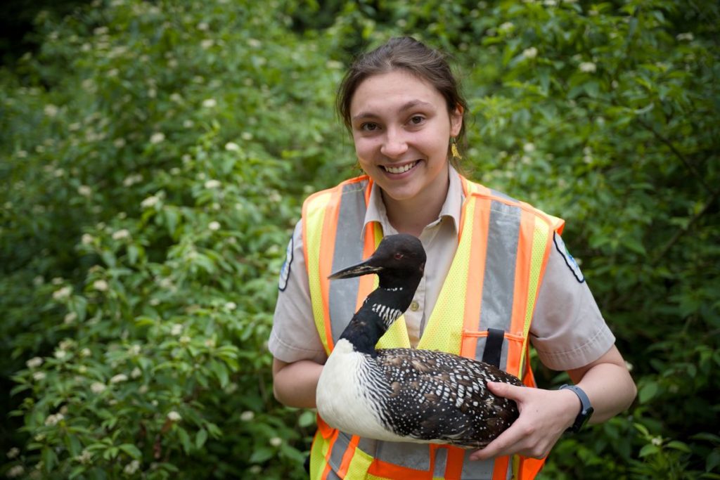 Abby Brown holding model of Common Loon