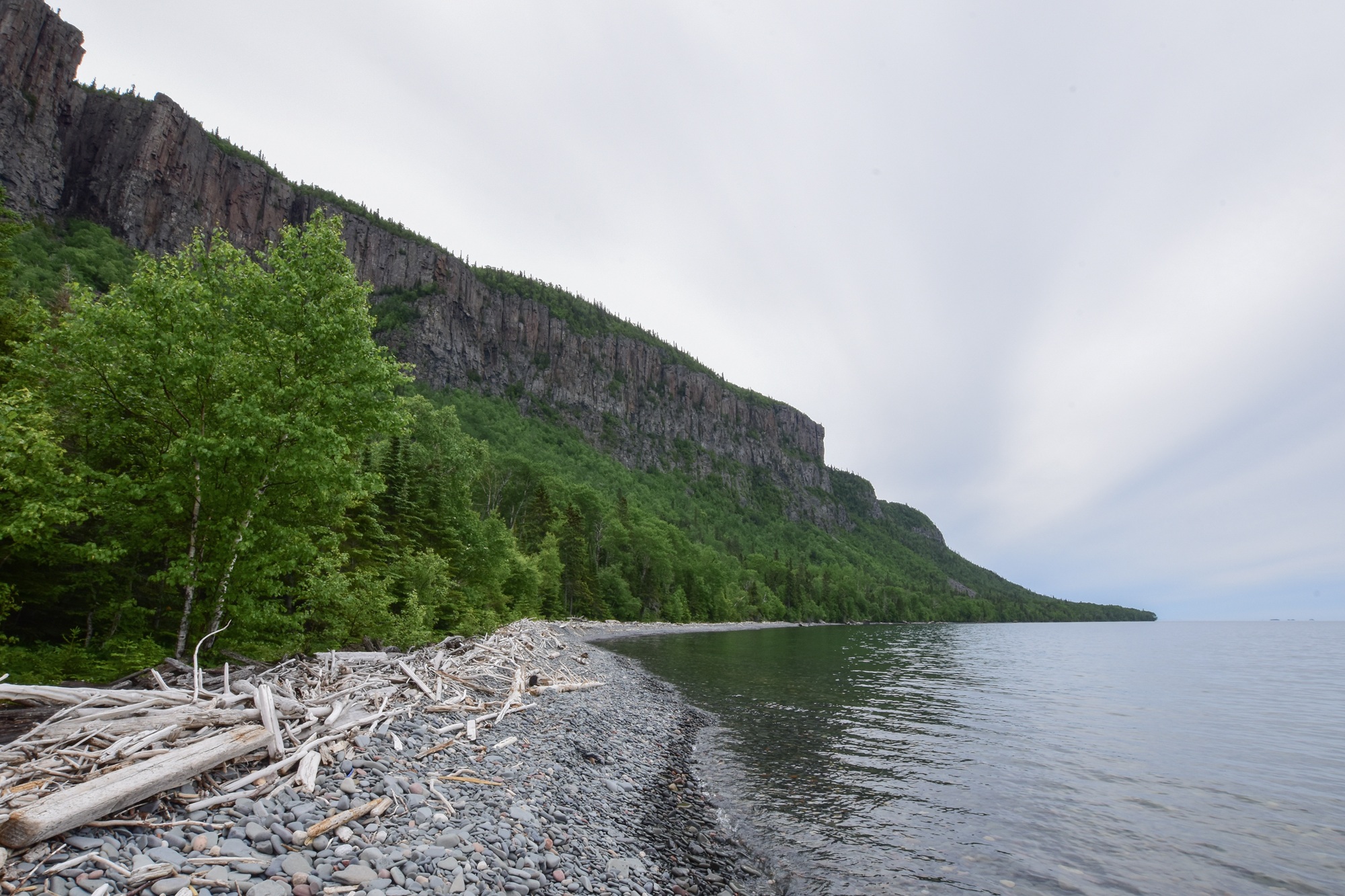 cliffs above rocky beach with bleached driftwood