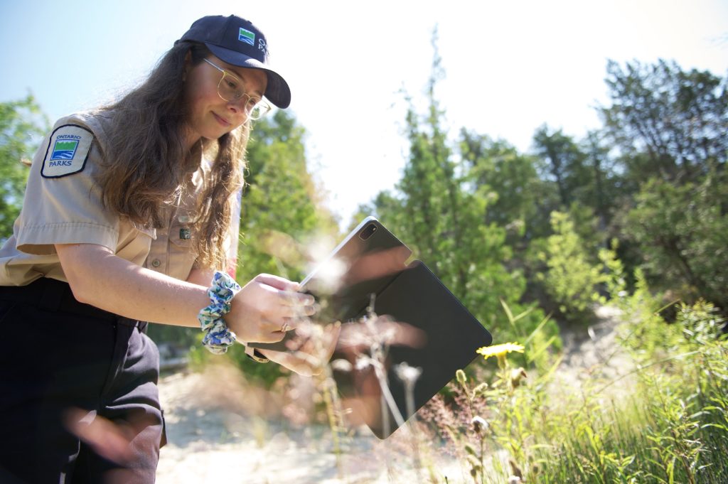 staff in natural environment, taking image of vegetation with tablet