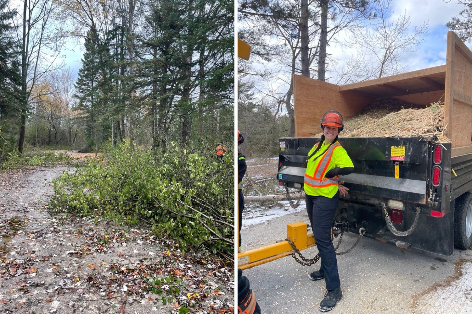 Left: foliage from cut-down buckthorn. Right: a proud park staff member beside a truck full of chipped buckthorn