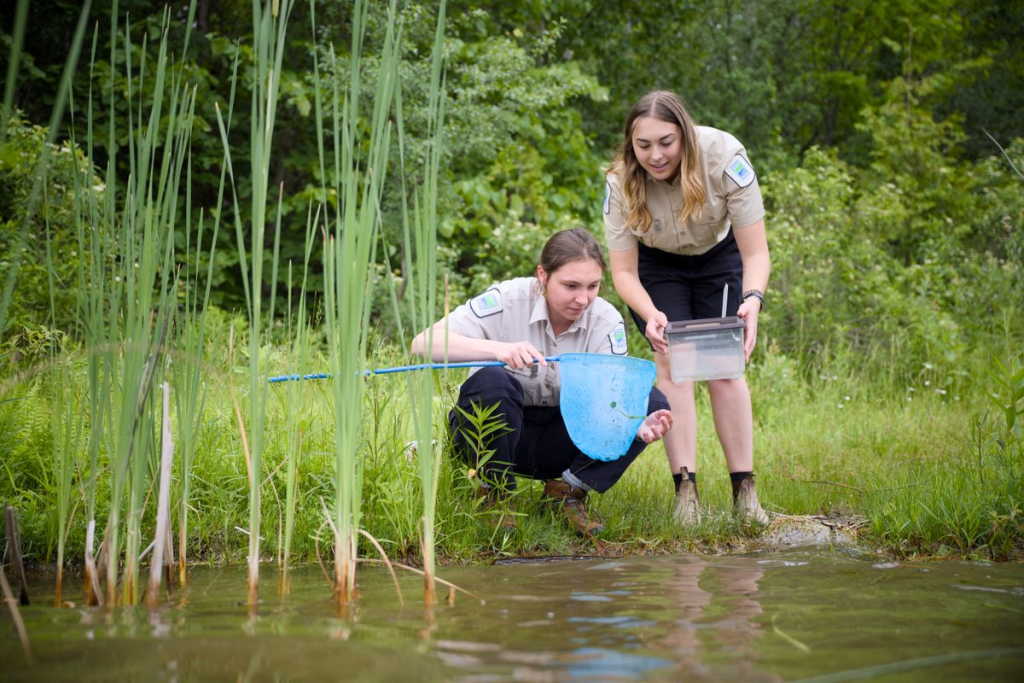 Abby Brown et un autre membre du personnel regardant dans une épuisette, debout au bord d’un lac