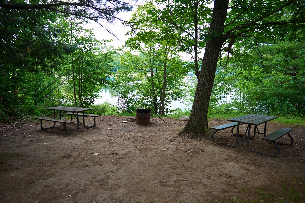 Un terrain de camping au bord de l’eau avec des tables de pique-nique