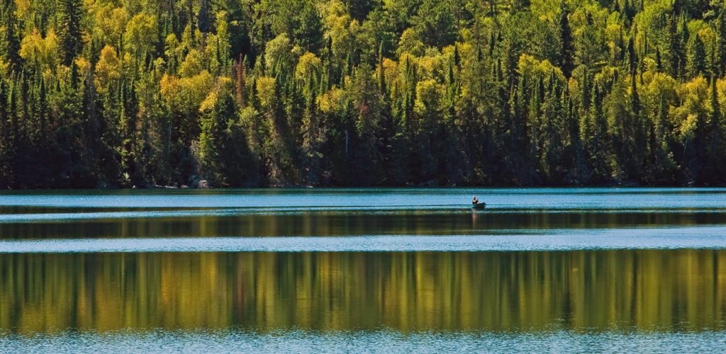 person paddling in canoe on lake. Boreal forest in background