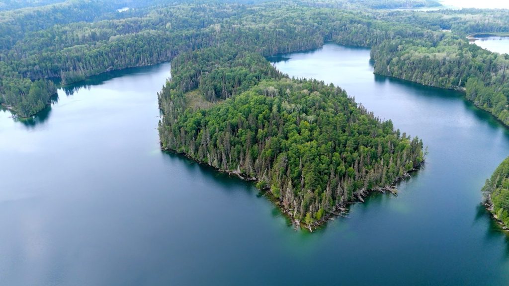 aerial view of lake and land mass covered in boreal forest