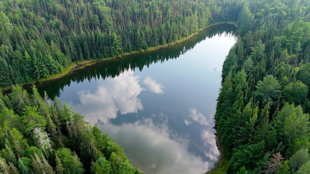 aerial view of lake surrounded by green boreal forest. Sky relfected in lake