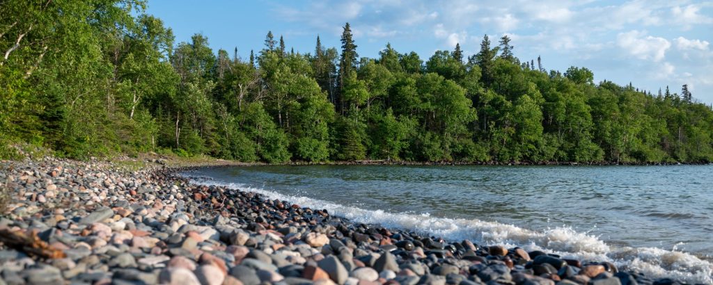 rocky beach along lake. Forested shore in background