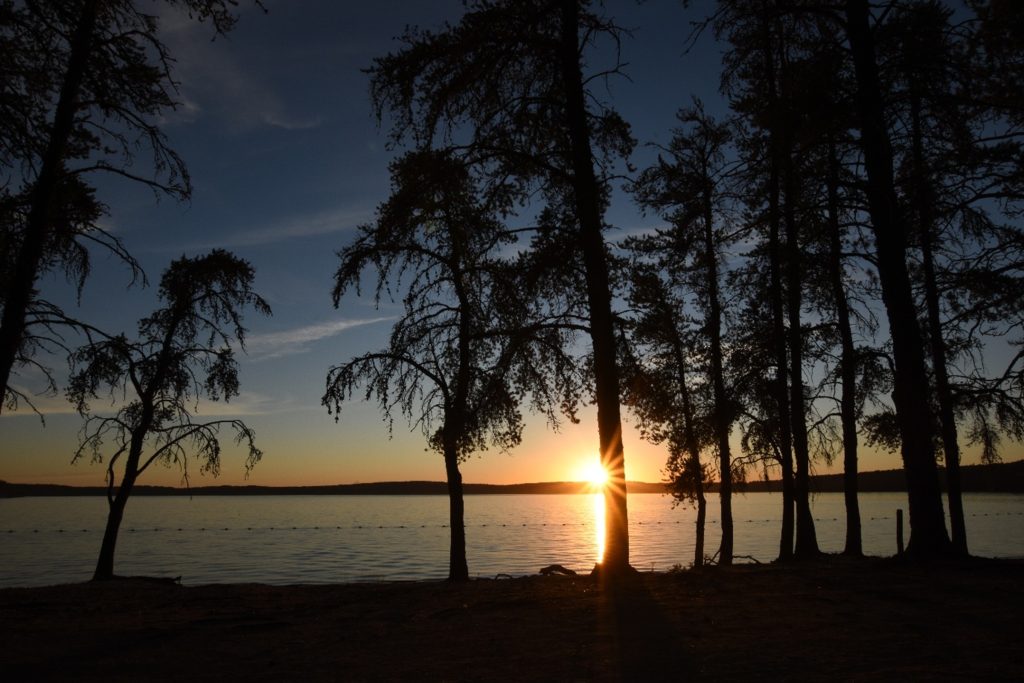 sunset over lake. Jack Pines silhouetted in foreground