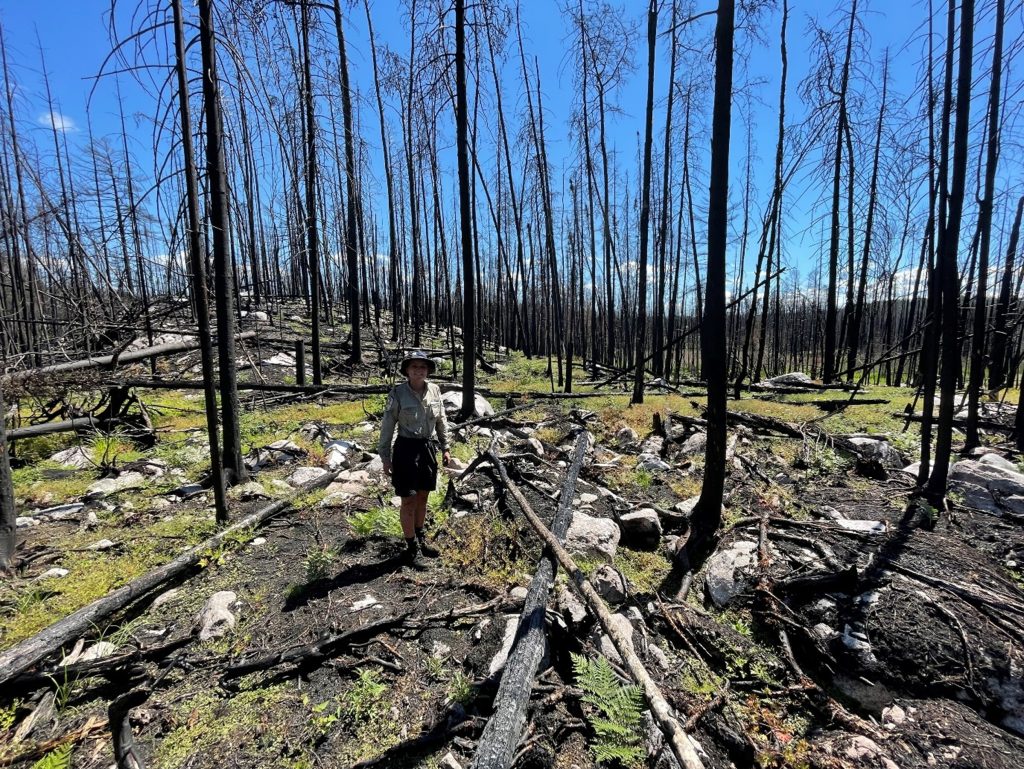 staff standing around burnt forest