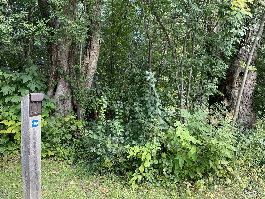 Nerprun poussant à côté d’un terrain de camping au parc Emily