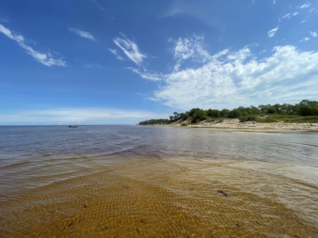 Un lac sous un ciel bleu avec une rive sablonneuse et des arbres au loin