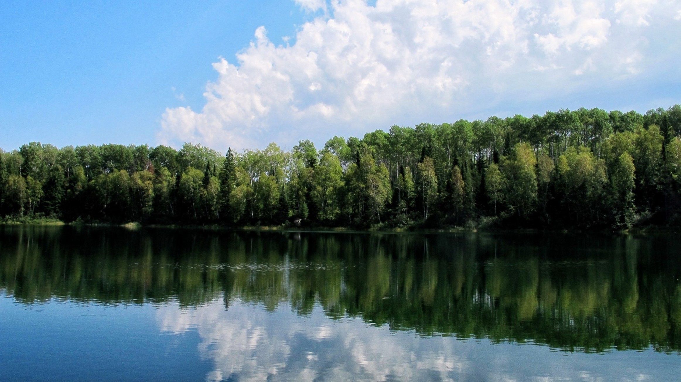 view of forest reflected in lake
