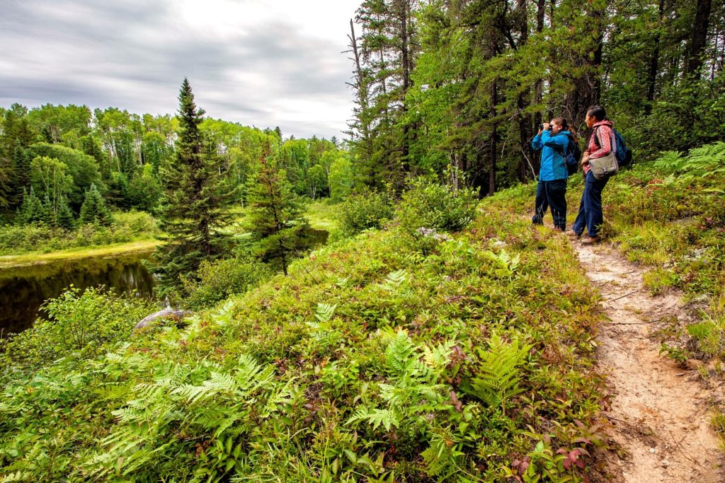 two hikers on trail looking out at lake