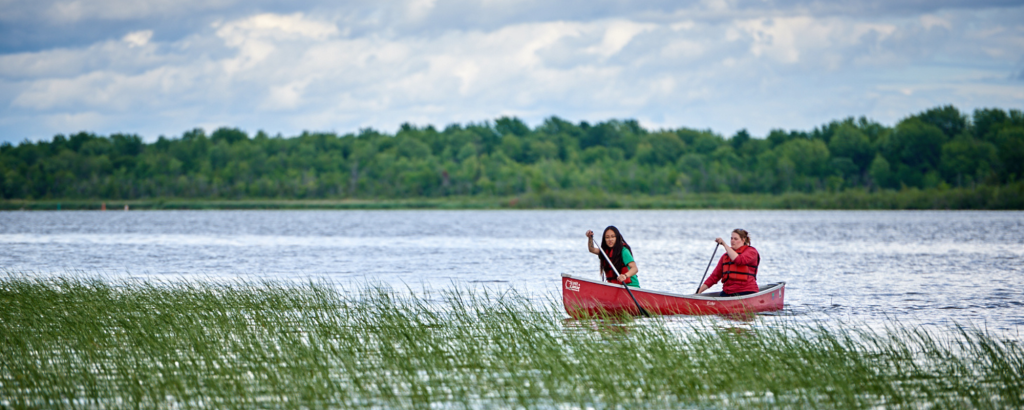 Two people paddling in a canoe on a reedy lake. 