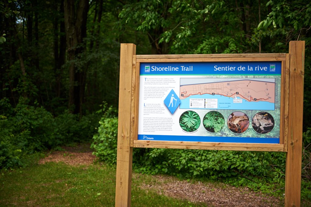 Shoreline Trail sign in front of a forested trail. 