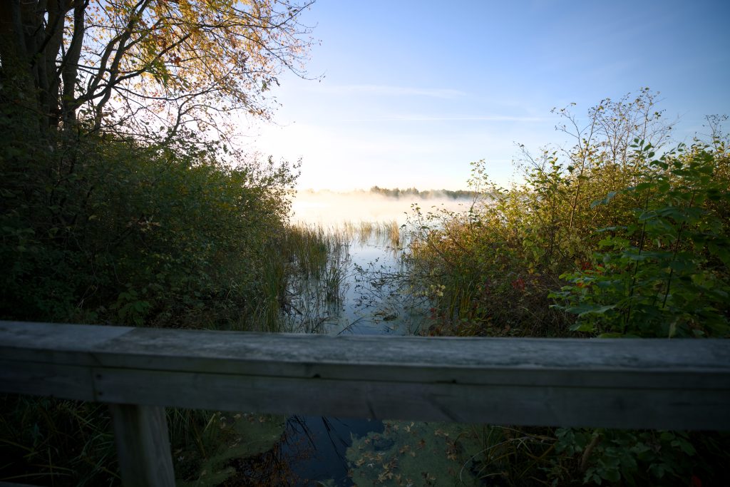 view of misty wetland from wooden boardwalk
