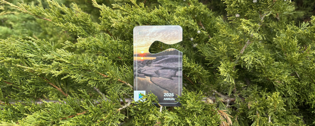 Annual Permit sitting in green foliage