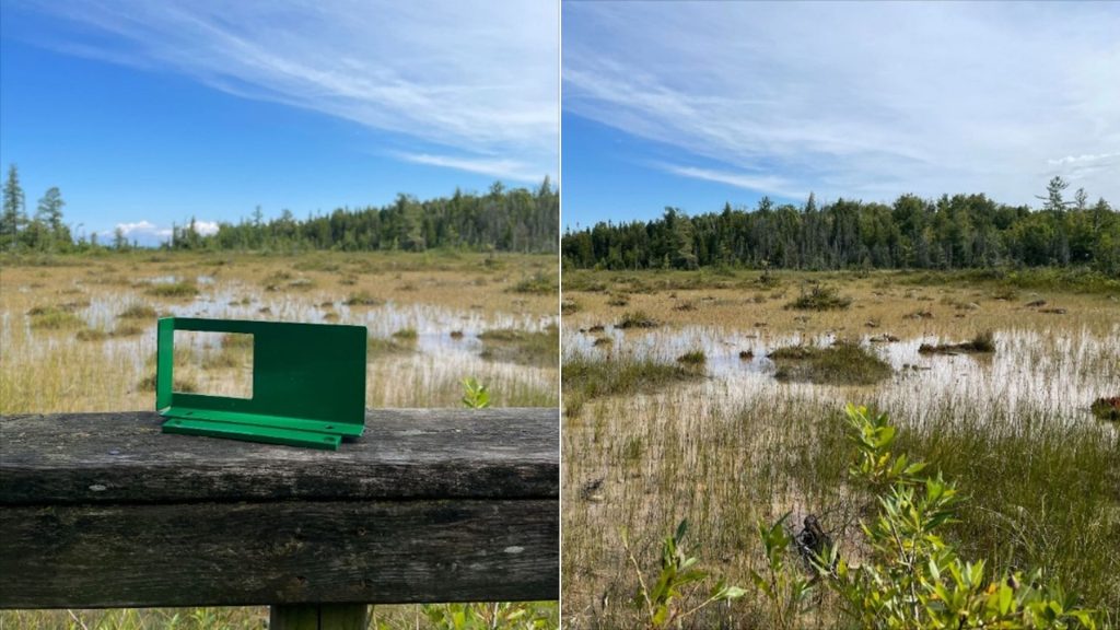 frame on wooden rail, wetland