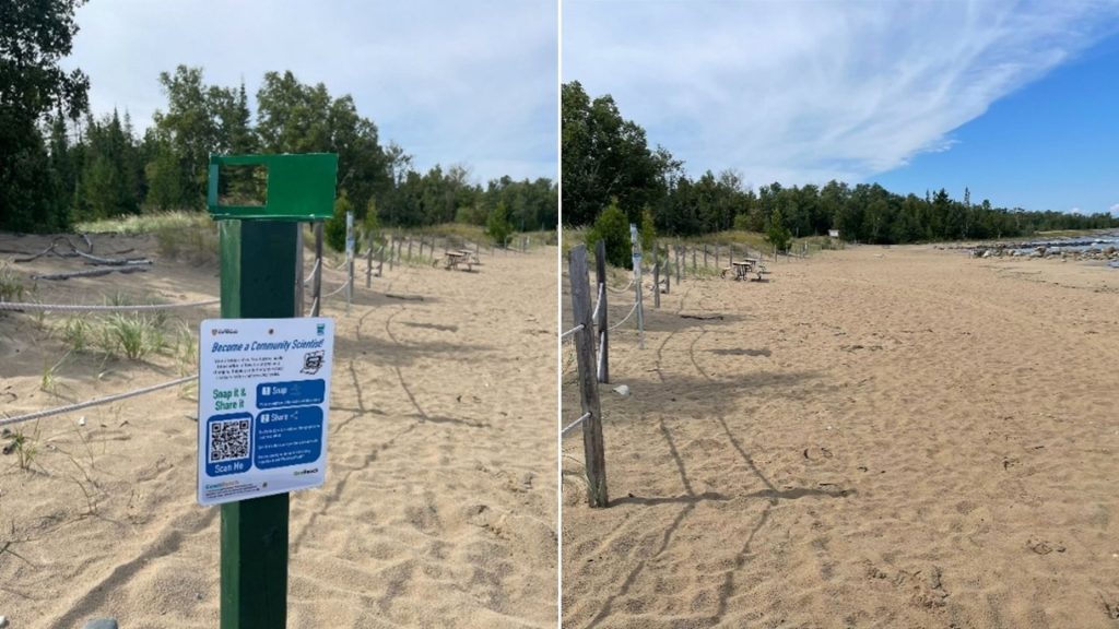 frame on metal stand on beach, beach with roped fencing