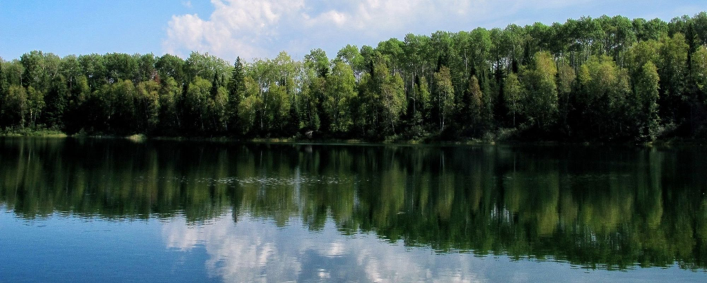 rivage boisé qui se reflète dans le lac