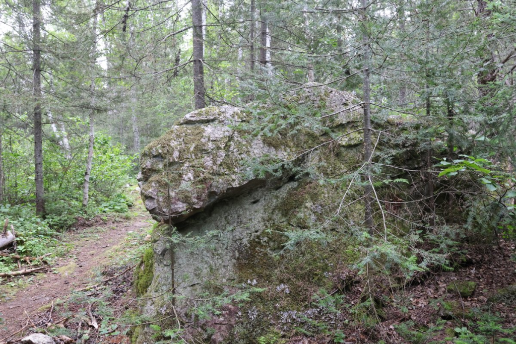 structure géologique sur le côté d’un sentier en forêt
