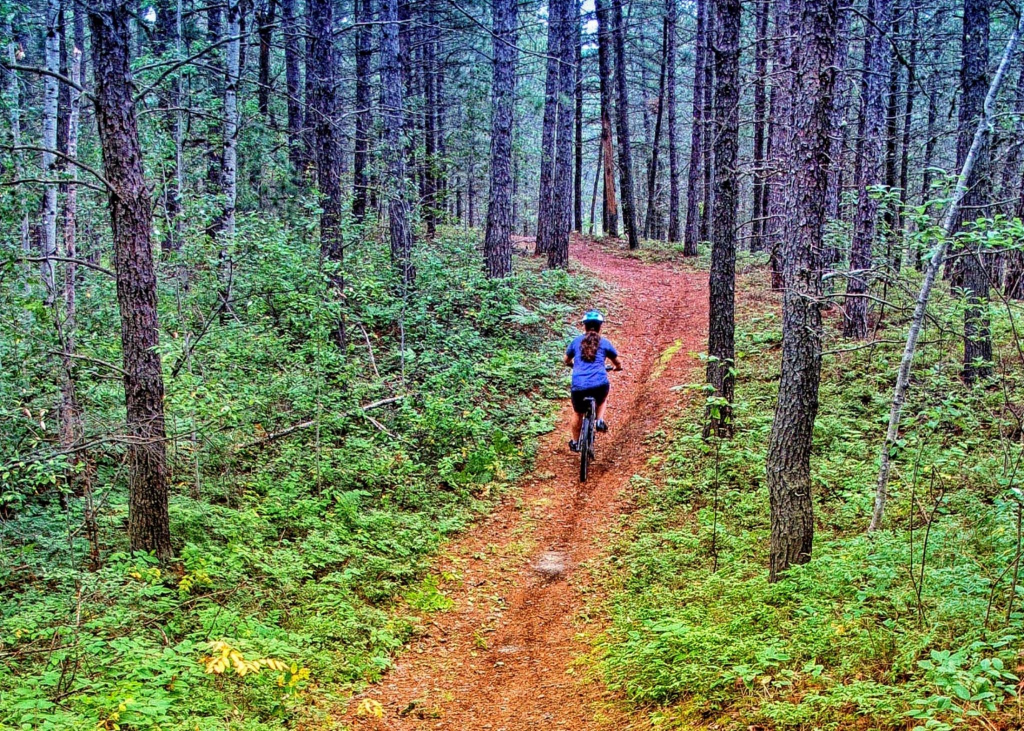 personne faisant du vélo sur un sentier en forêt