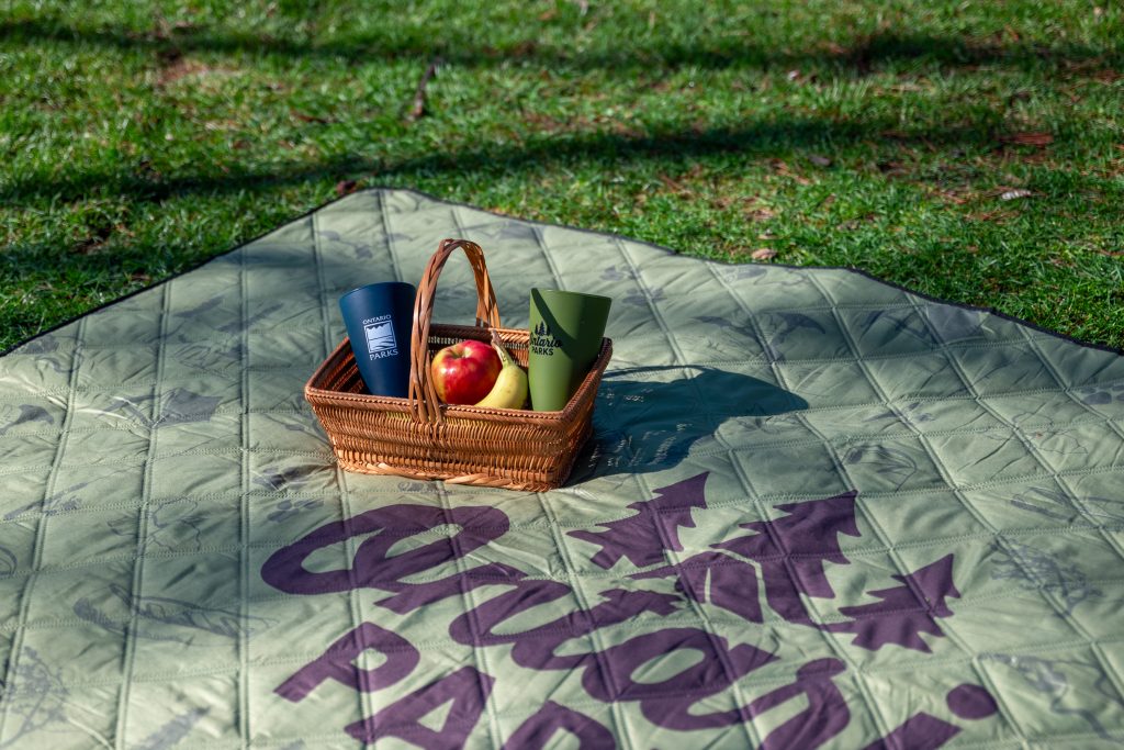 picnic basket with two cups, an apple, and banana sitting on picnic blanket