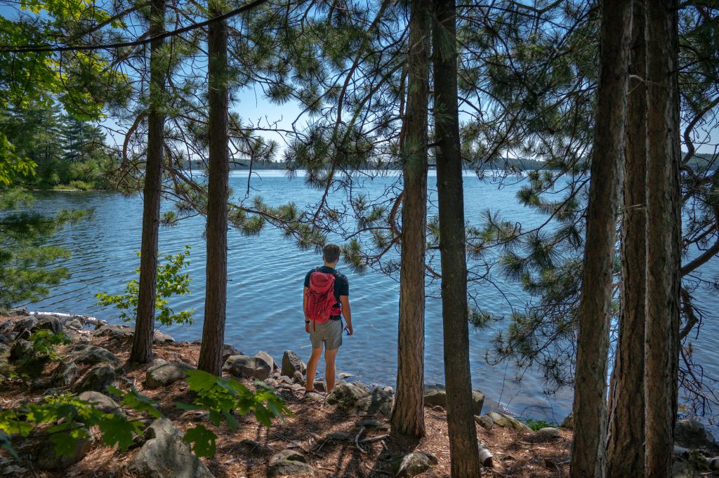 hiker standing on lake's shore amonst pine trees