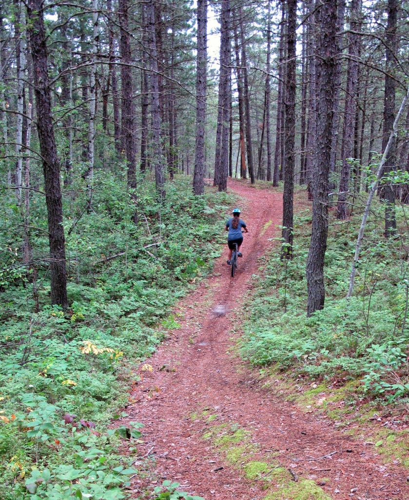 person bicycling through forest