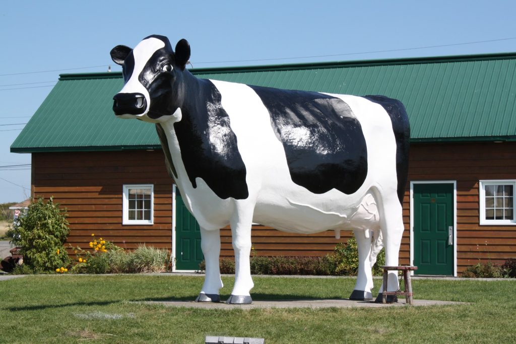 large model cow in front of building
