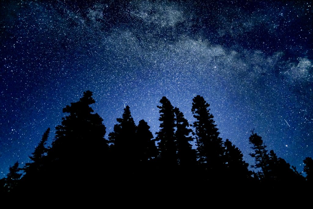 starry sky over forest silhouette