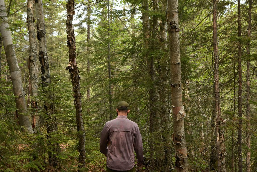 person hiking through forest