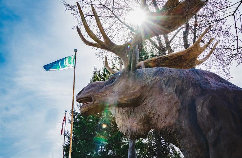 large moose statue