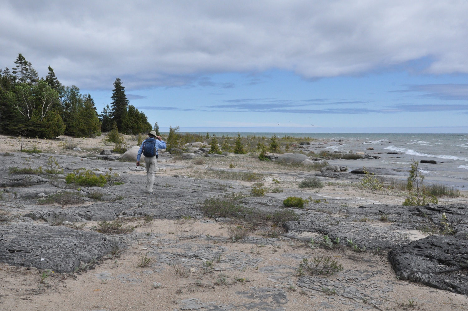person walking along beach