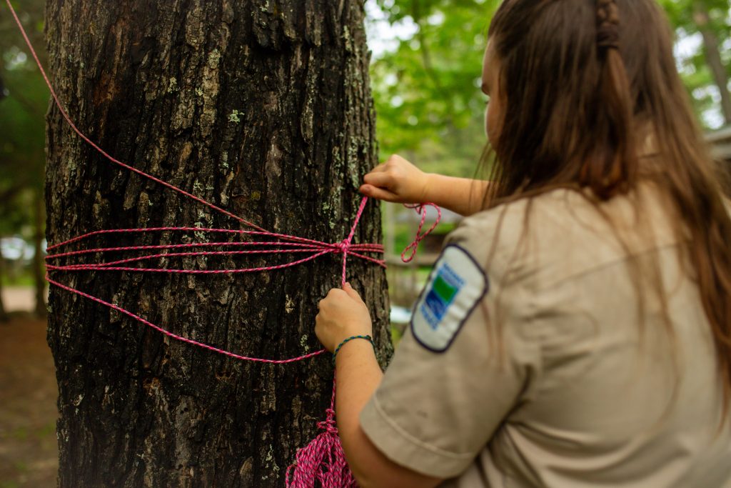 staff tying knots in rope secured around tree trunk