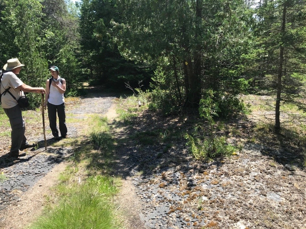 hikers standing on rocky and treed trail