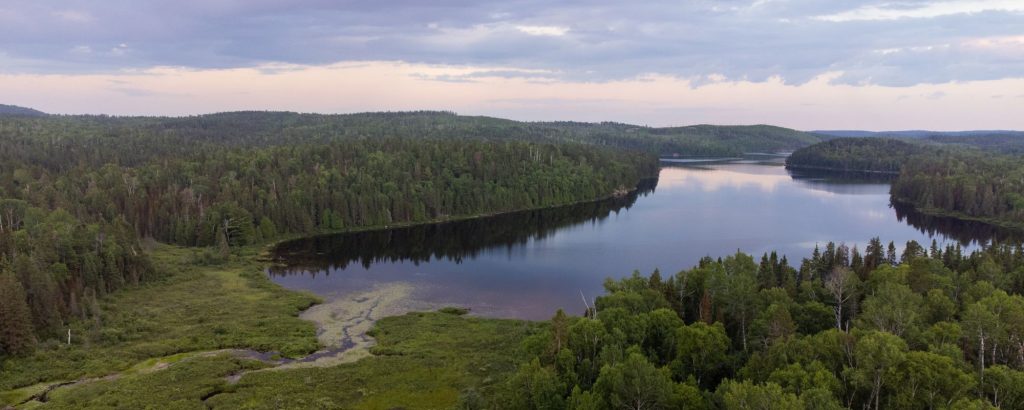 aerial view of lake surrounded by boreal forest