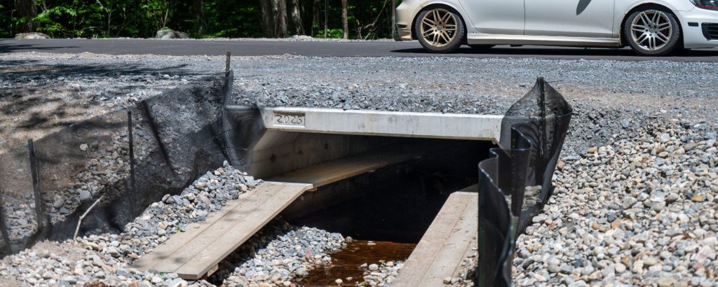 car driving over ecopassage