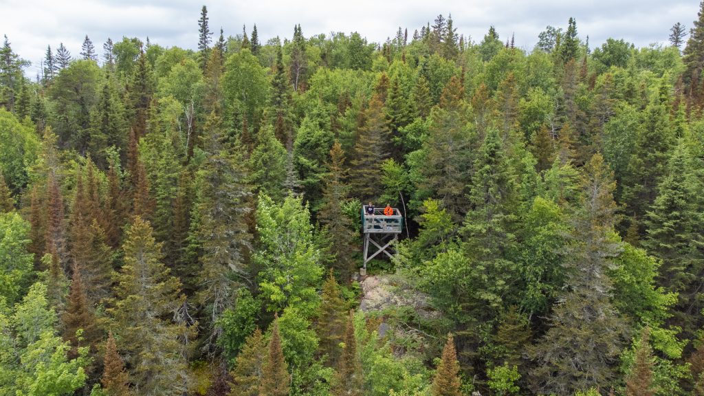 aerial view of looking amongst Boreal Forest
