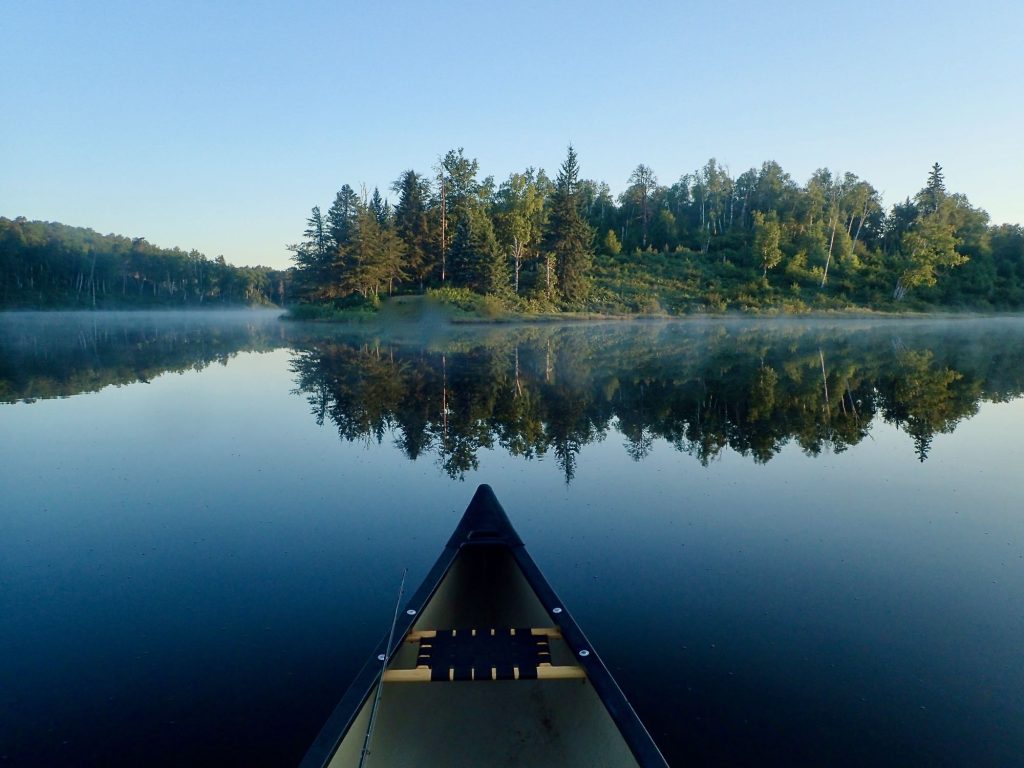 calm forest lake