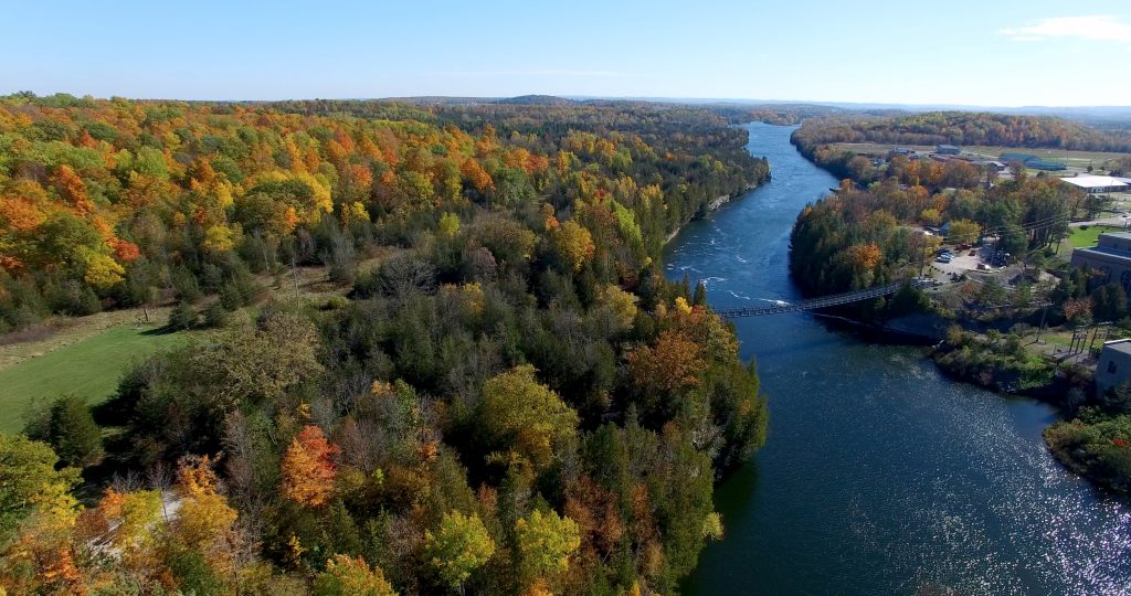 fall colours and bridge over river gorge