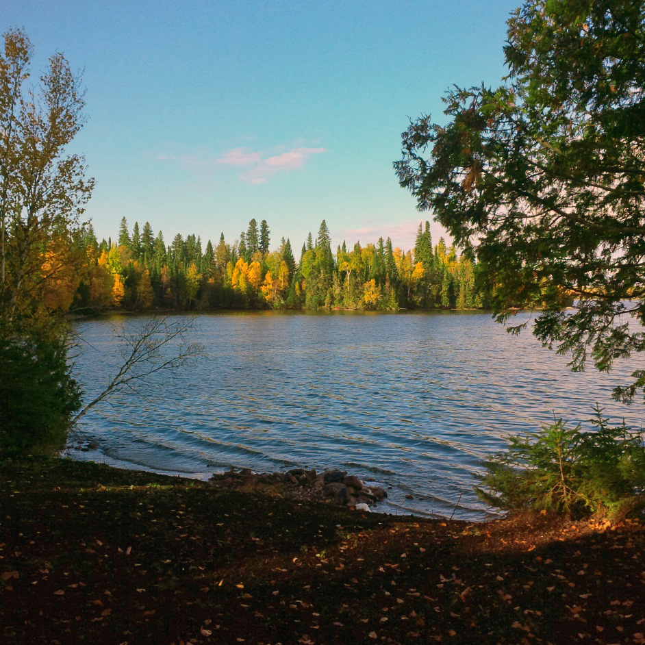 fall foliage around lake