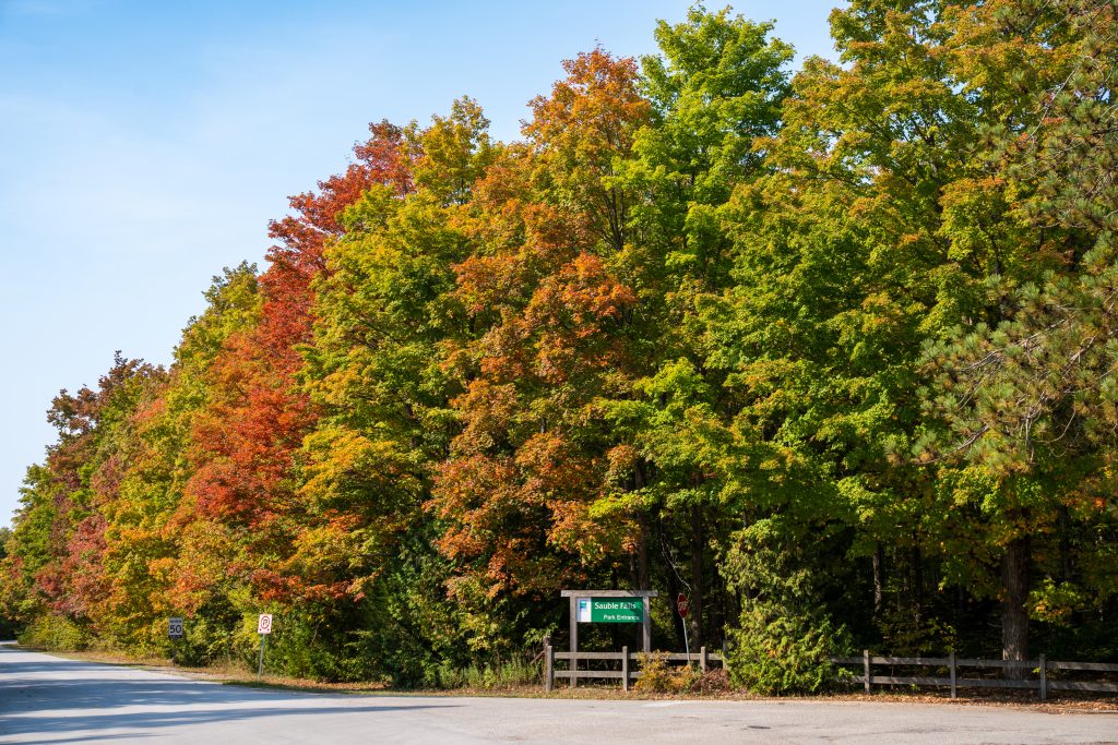 fall colours at park entrance