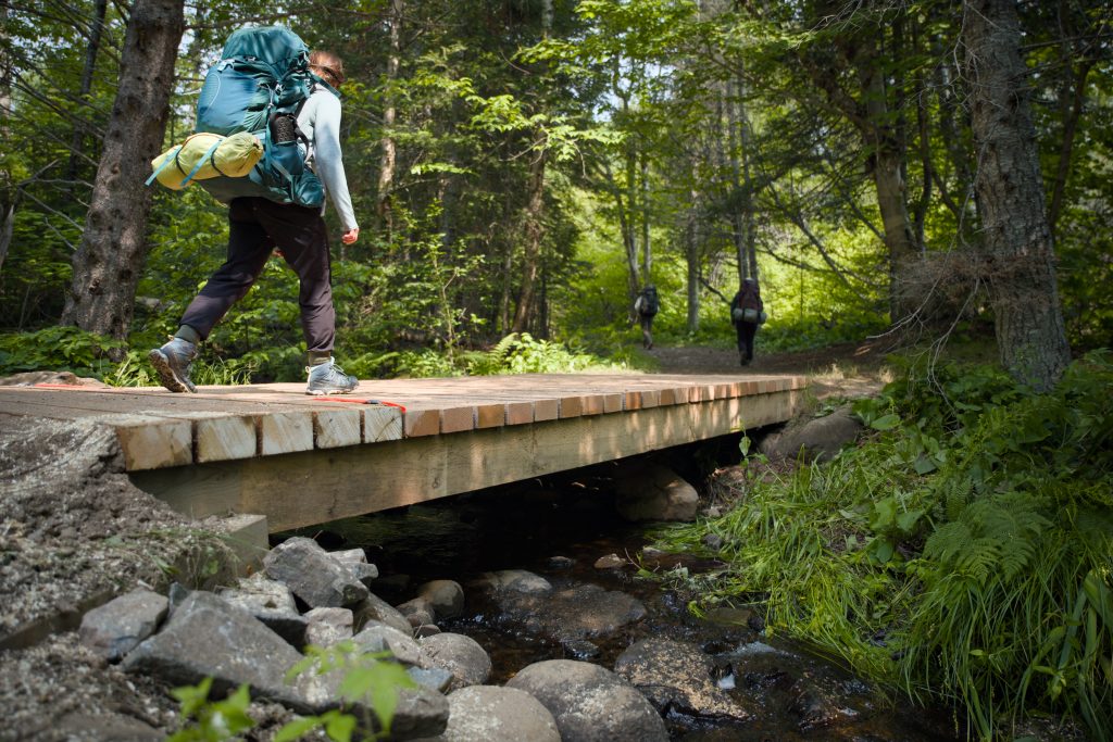 three hikers with large packs going through trail in forest