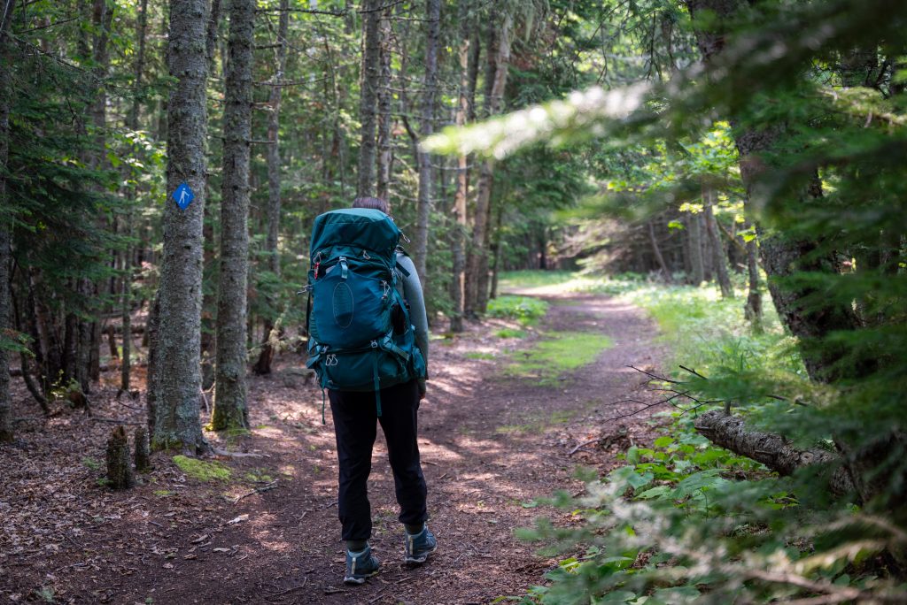 woman hiking along trail through forest